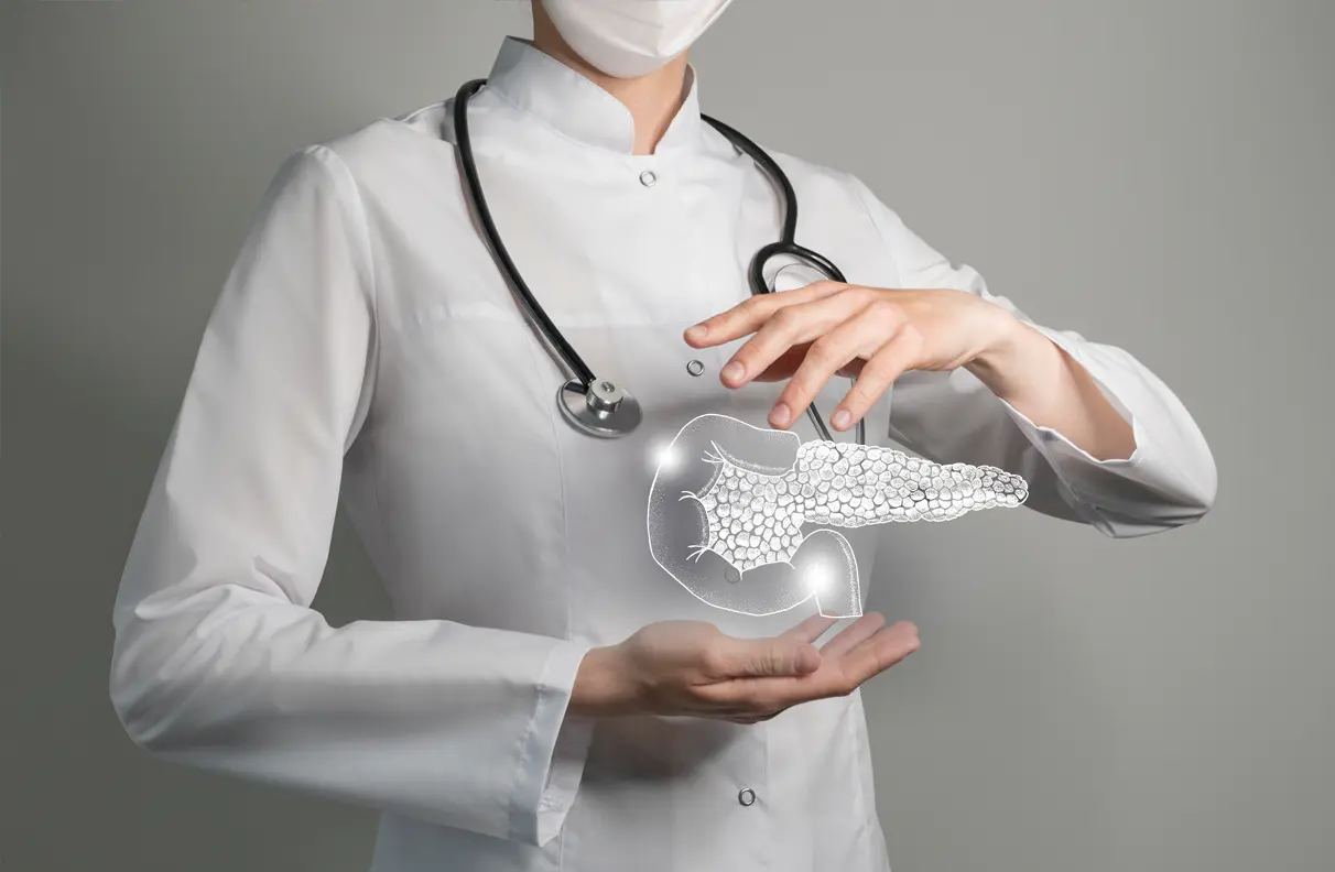 A medical professional holding a virtual pancreas