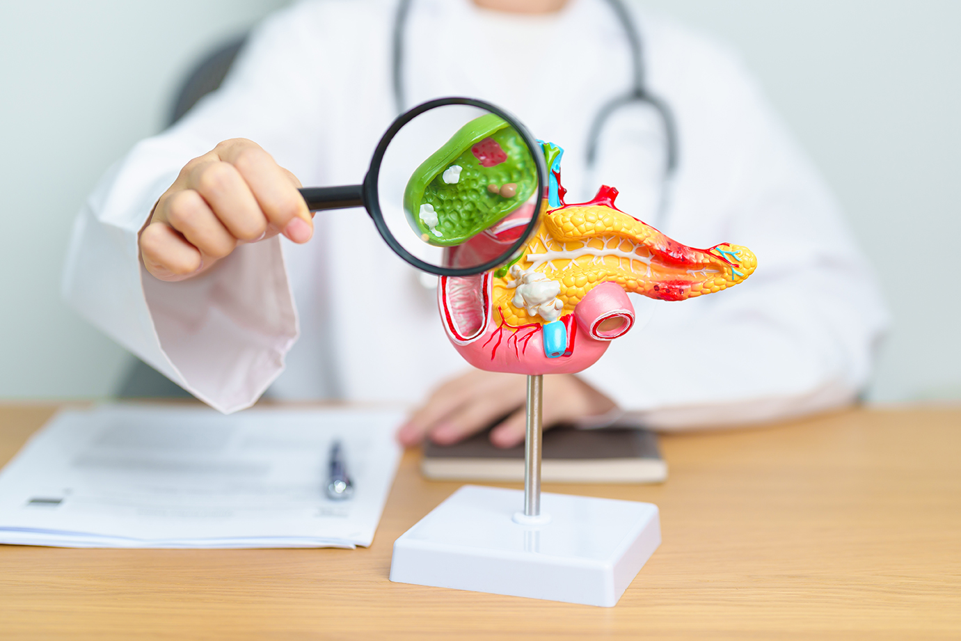 Doctor explaining gallstones and bile duct conditions during a medical consultation.