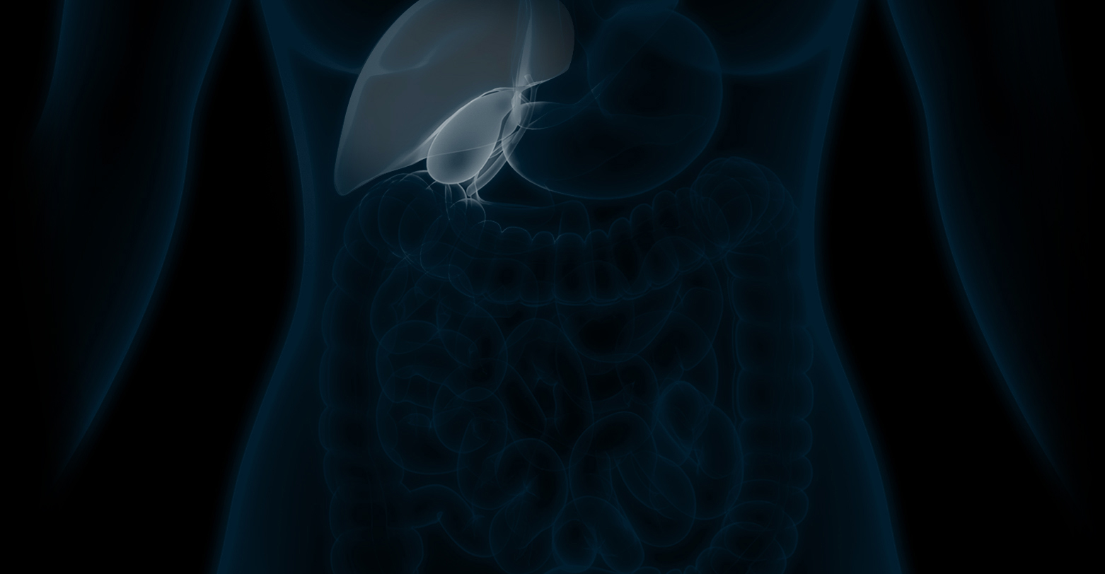 Bile Duct Illustratiion