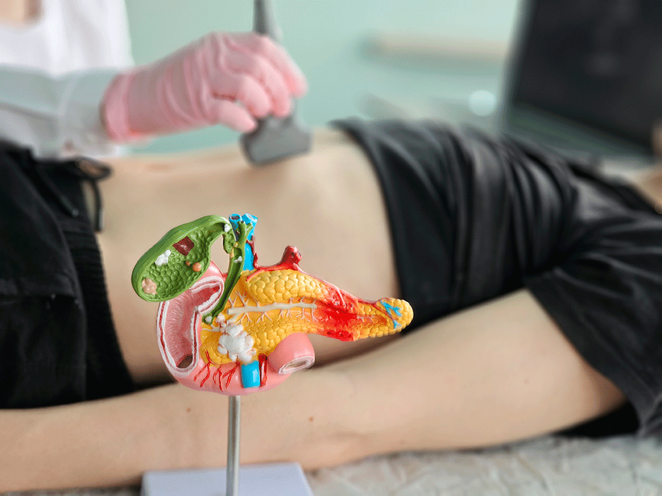 A scan [1.1]being conducted on the pancreas 