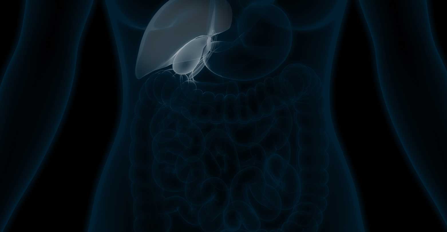 Bile Duct Illustratiion