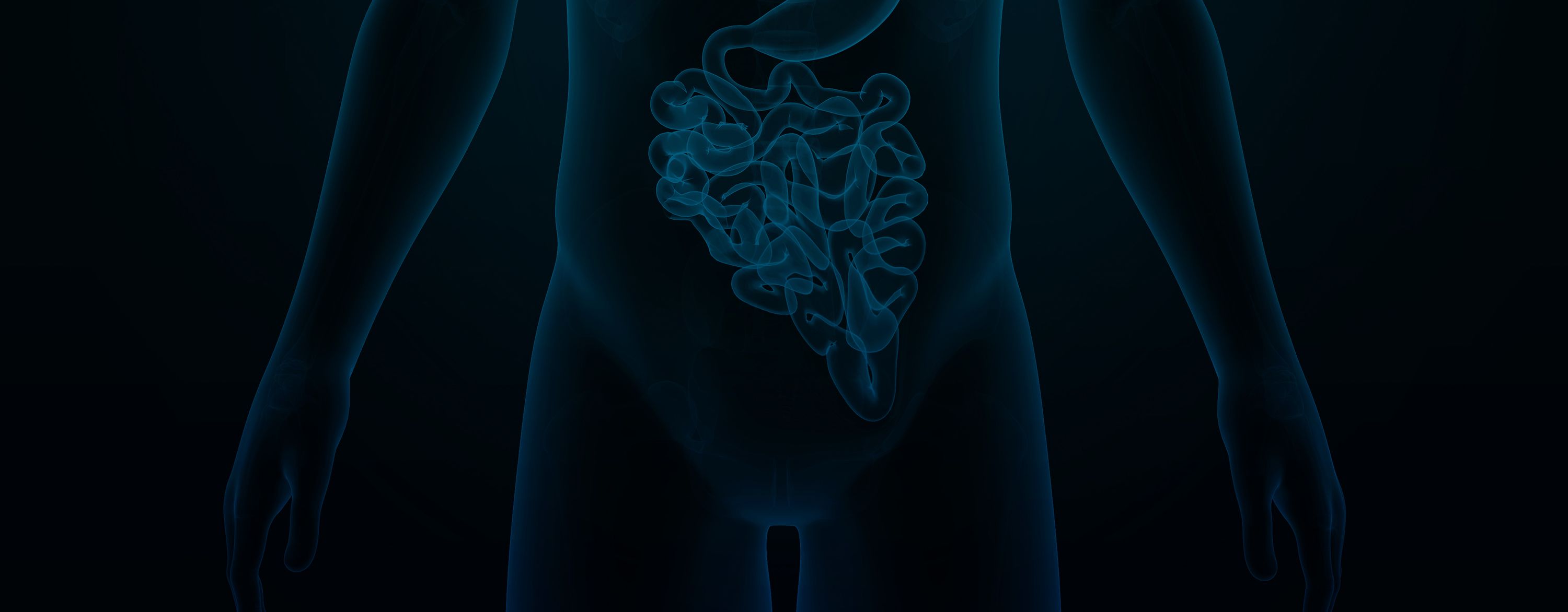 Hernia Surgery