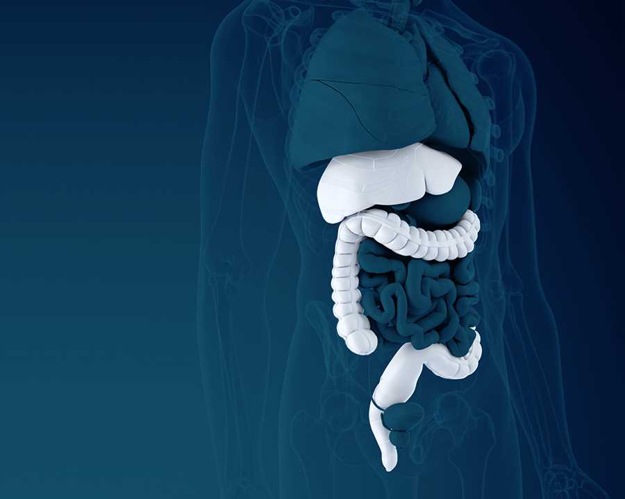 Colorectal Surgery Clinic in Singapore
